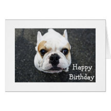 Happy Birthday Bulldog Greeting Card - Verse