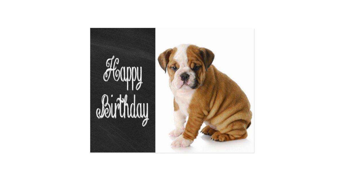 Happy Birthday Bulldog Puppy Chalkboard Postcard | Zazzle