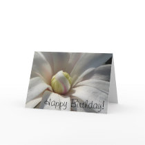 Happy Birthday! cards