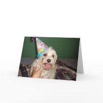 Happy Birthday cards