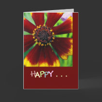 Happy Birthday cards by stucker111 Happy Birthday cards