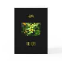Happy Birthday cards