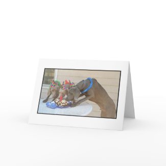 Happy Birthday card
