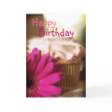 Happy Birthday cards