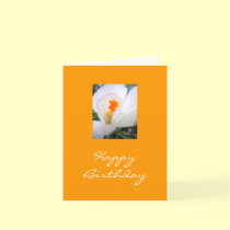 Happy Birthday cards