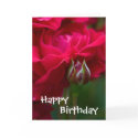 Happy Birthday Card by FloralPalette Happy Birthday Card