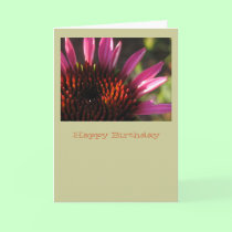 Happy Birthday cards by lorale Happy Birthday cards