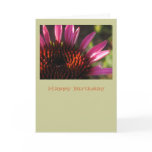 Happy Birthday Greeting Cards