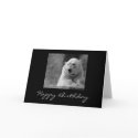 Happy Birthday cards