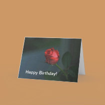 Happy Birthday cards