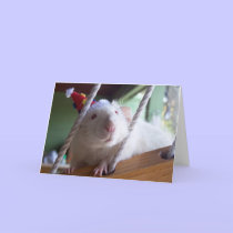 Happy Birthday cards