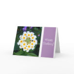 Happy Birthday! Cards