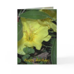 Happy Birthday Cards