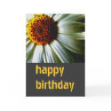 Happy Birthday card