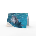 Happy birthday card 