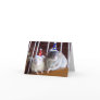 Happy Birthday Greeting Cards