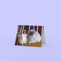 Happy Birthday cards