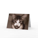 Happy Birthday! Greeting Card