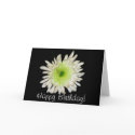 Happy Birthday! card