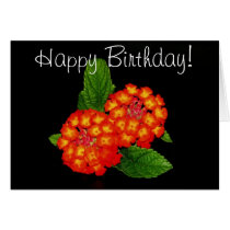 Happy Birthday! cards by princessklb07 Happy Birthday! cards