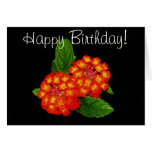 Happy Birthday! Card