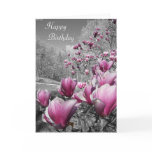 Happy Birthday Greeting Cards