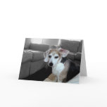 HAPPY BIRTHDAY GREETING CARDS