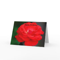 Happy Birthday Cards
