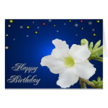 Happy Birthday.. Greeting Card