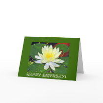 HAPPY BIRTHDAY! cards