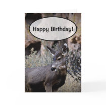 Happy Birthday! cards by Woodswalker Happy Birthday! cards