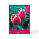 Happy Birthday cards by photomorgana Happy Birthday cards