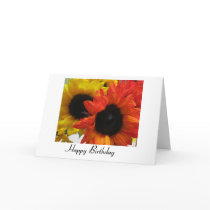 Happy Birthday Greeting Cards