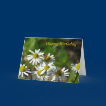 Happy Birthday cards