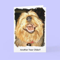 Happy Birthday cards