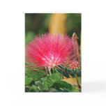 Happy Birthday Card