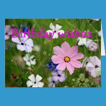 Happy Birthday cards