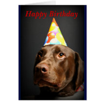 Happy Birthday card~Chocolate Lab
