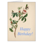 Happy Birthday card - roses and cute elephants cards