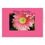 happy birthday cards