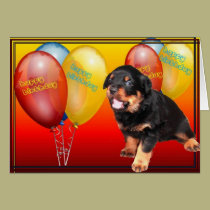 Happy Birthday cards
