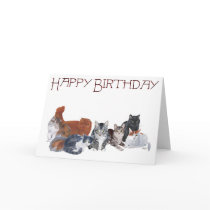 Happy Birthday Cats cards