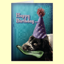 Happy Birthday chew shoe.... cards