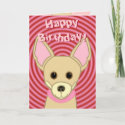 Happy Birthday Chihuahua card