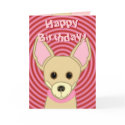 Happy Birthday Chihuahua card