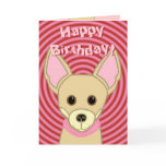 Happy Birthday Chihuahua Card