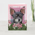 Happy Birthday - Chihuahua - Isabella card