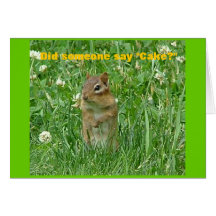 Happy Birthday Chipmunk Card