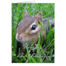 Happy Birthday chipmunk greeting card