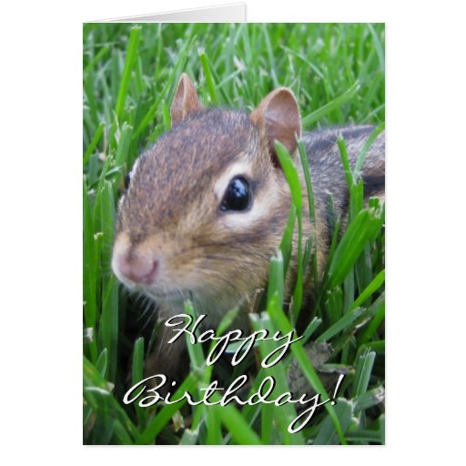 Happy Birthday Chipmunk Greeting Card Zazzle